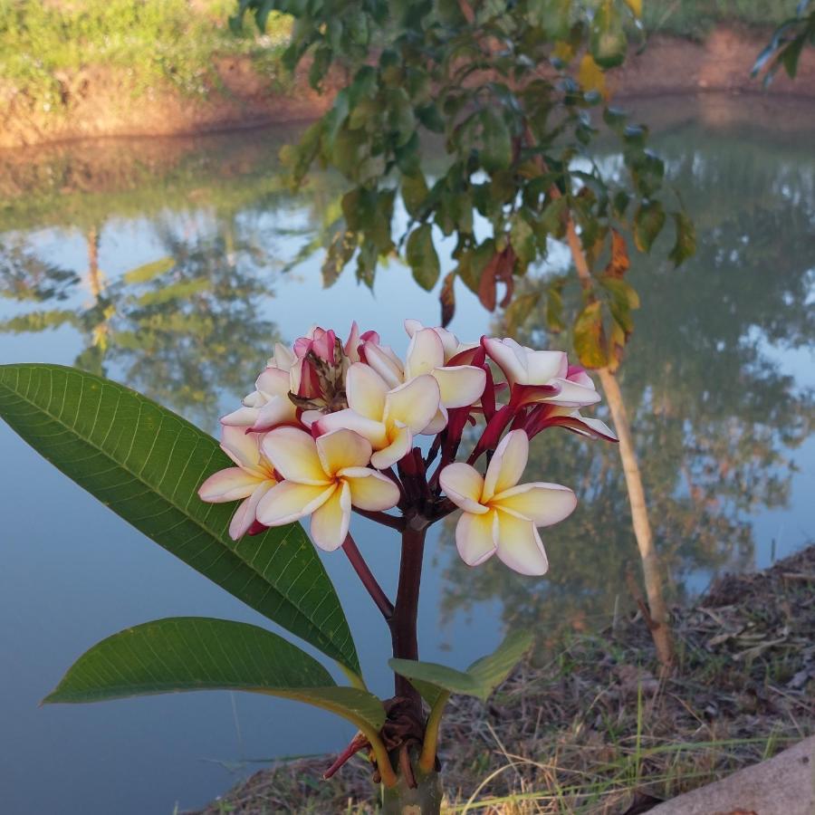 Yoga Homestay Seka Ngoại thất bức ảnh